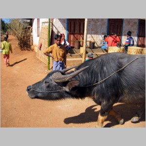 Inle-198.jpg