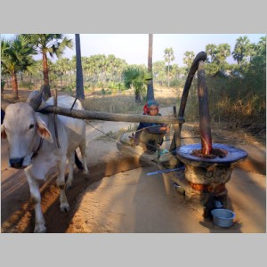 Kalau-008.jpg