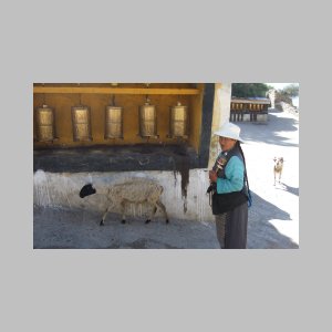 Drepung-022.jpg