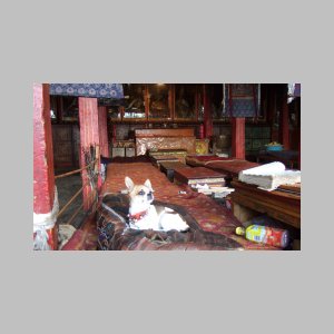 Drepung-237.jpg