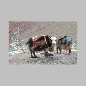 Namtso-051.jpg