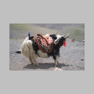 Namtso-064.jpg