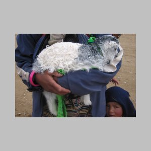Namtso-076.jpg