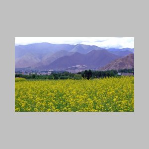 Potala-01.jpg
