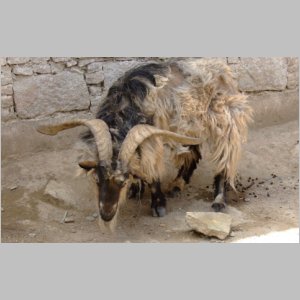 Thurphu-086.jpg