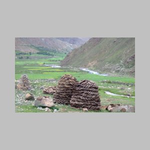Thurphu-099.jpg