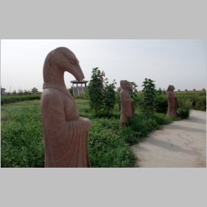 D7-W-040.jpg