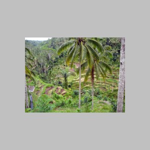 Bali-K-z-wulkanu-12.jpg