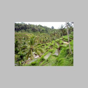 Bali-K-z-wulkanu-18.jpg