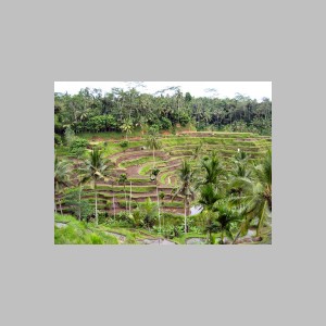 Bali-K-z-wulkanu-20.jpg