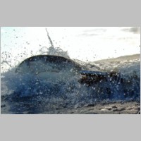 Shark-49.jpg