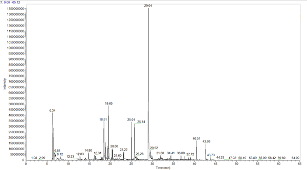chromatografiaGazowa3