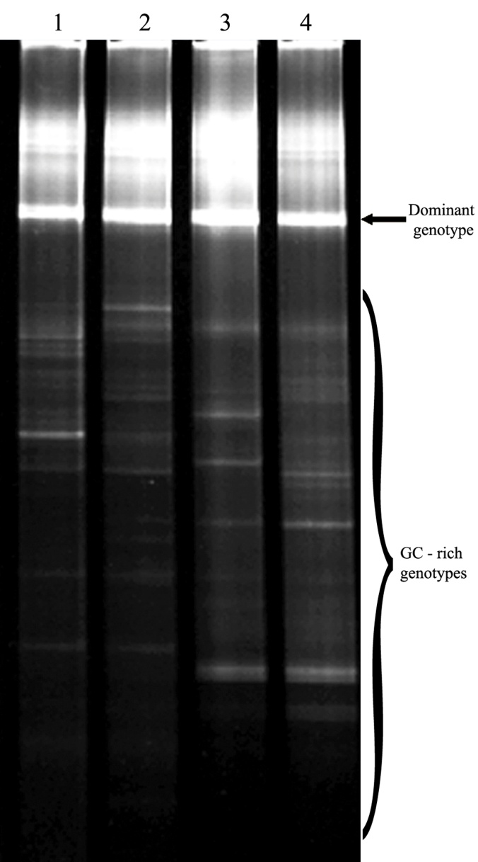 Rys. 1. Przykładowy fingerprint otrzymany dla próbek powietrza (Lech et al. 2015)