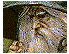 J.R.R. Tolkien 1997 - Powiedz przyjacielu i wejd�
