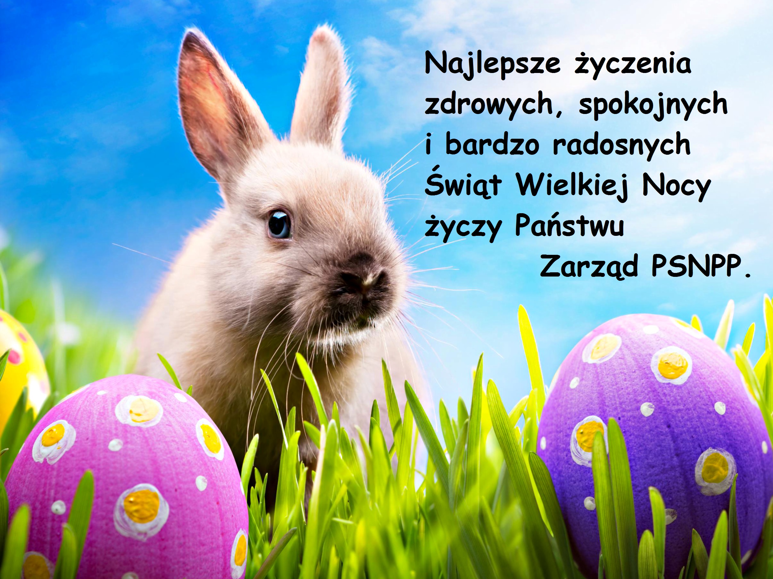 Świeta